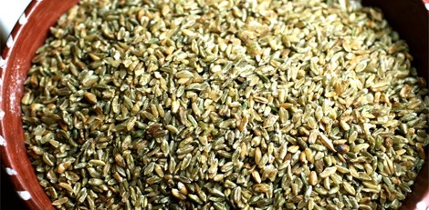 freekeh070624