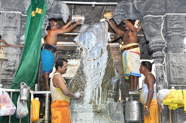 திருவண்ணாமலை அருணாச்சலேஸ்வரர் கோவிலில் பங்குனி மாத பௌர்ணமி பிரதோஷம்!