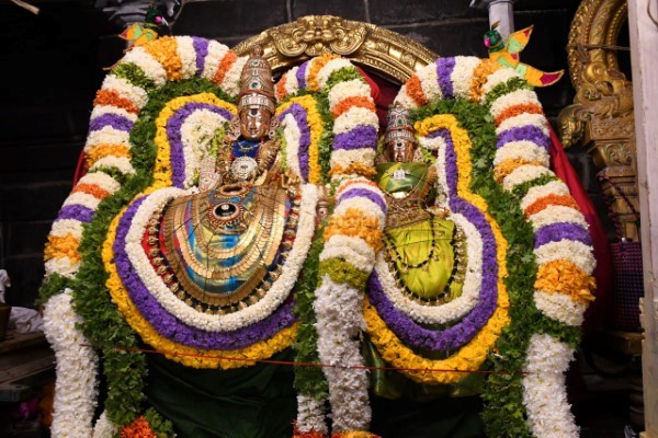 திருவண்ணாமலை அருள்மிகு அருணாசலேஸ்வரர் திருக்கோயில் சித்திரை வசந்த உற்சவம் – Day 8