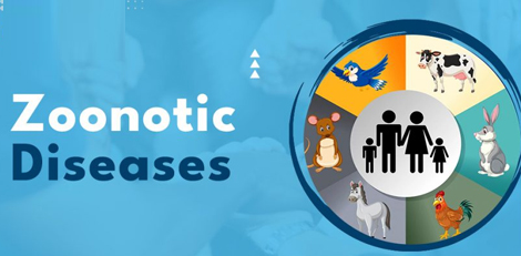 Having pets at home? Then, please be careful about these diseases that can affect you!!